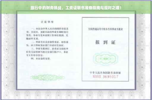 旅行中的财务挑战，工资证明书准备指南与应对之道！