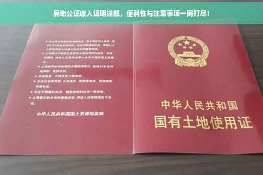 异地公证收入证明详解，便利性与注意事项一网打尽！