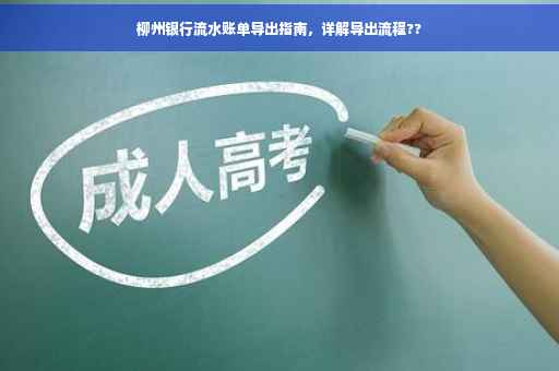 柳州银行流水账单导出指南，详解导出流程??