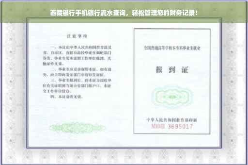 西藏银行手机银行流水查询，轻松管理您的财务记录！