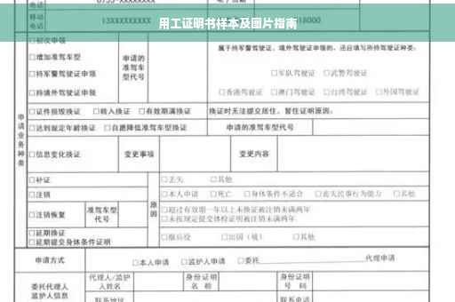 用工证明书样本及图片指南