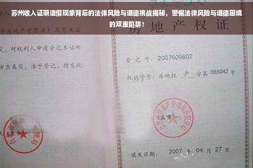 苏州收入证明造假现象背后的法律风险与道德挑战揭秘，警惕法律风险与道德困境的双重陷阱！
