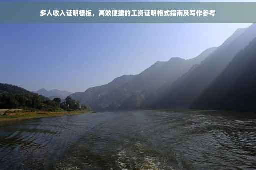 多人收入证明模板，高效便捷的工资证明格式指南及写作参考