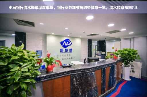 小马银行流水账单深度解析,银行业务细节与财务健康一览,流水拉取指南?⚡️ 小马银行流水账单深度解析,银行业务细节与财务健康一览,流水拉取指南?⚡️