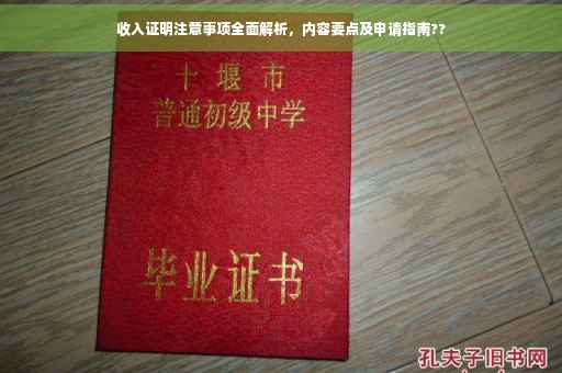 收入证明注意事项全面解析，内容要点及申请指南??