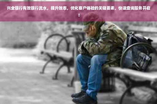 兴业银行有效银行流水，提升效率，优化客户体验的关键要素，快速查询服务开启！