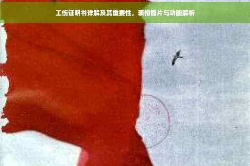 工伤证明书详解及其重要性，表格图片与功能解析