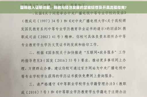 国税收入证明详解，税收与经济发展的紧密纽带及开具流程指南?