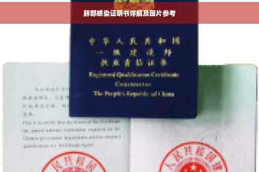 肺部感染证明书详解及图片参考