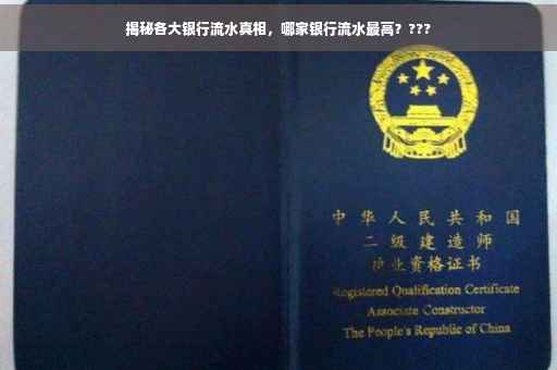 揭秘各大银行流水真相，哪家银行流水最高？???