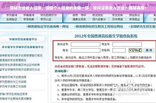 揭秘合法收入证明，保障个人权益的关键一环，如何证明收入合法？揭秘真相！