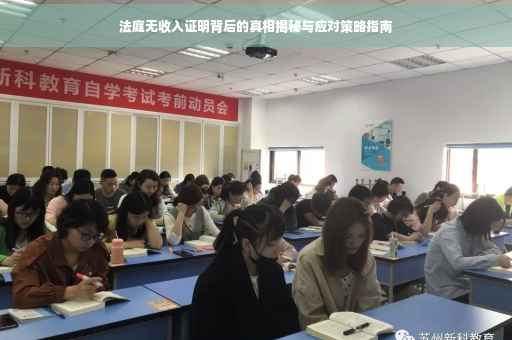 法庭无收入证明背后的真相揭秘与应对策略指南