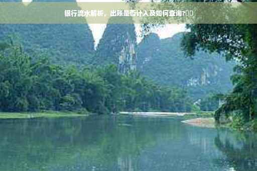 银行流水解析，出账是否计入及如何查询?⚡️