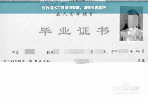银行流水工资明细查询，详细步骤解析