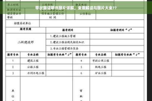 甲状腺证明书图片详解，全面解读与图片大全??