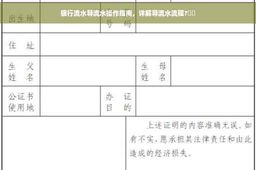 银行流水导流水操作指南，详解导流水流程?⚡️