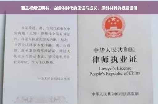 西瓜视频证明书，自媒体时代的见证与成长，原创材料的权威证明