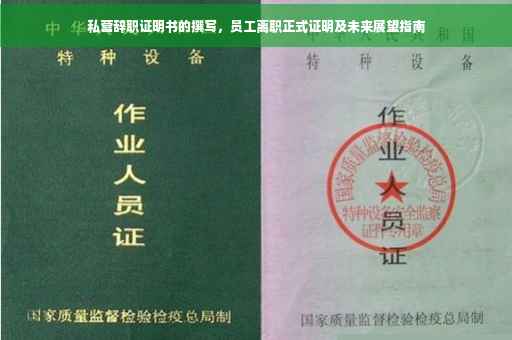 私营辞职证明书的撰写，员工离职正式证明及未来展望指南