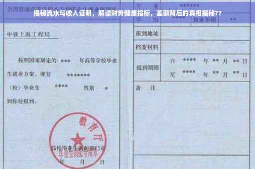 揭秘流水与收入证明，解读财务健康指标，差额背后的真相揭秘??