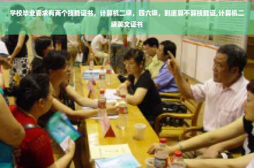 学校毕业要求有两个技能证书，计算机二级，四六级，到底算不算技能证,计算机二级英文证书