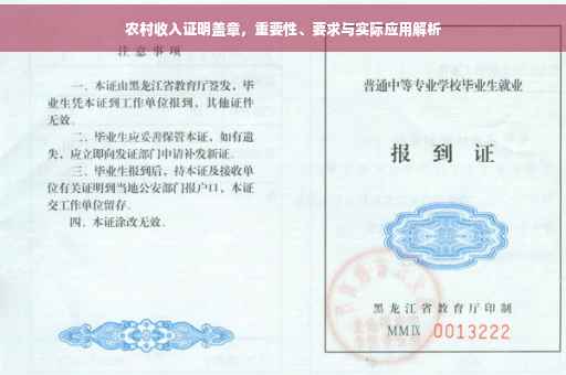 农村收入证明盖章，重要性、要求与实际应用解析
