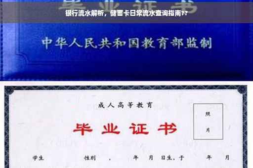 银行流水解析，储蓄卡日常流水查询指南??