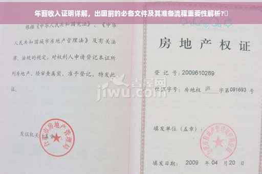 年薪收入证明详解，出国前的必备文件及其准备流程重要性解析?✨