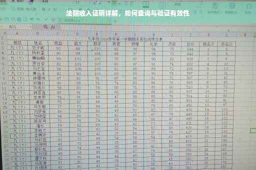 法院收入证明详解，如何查询与验证有效性