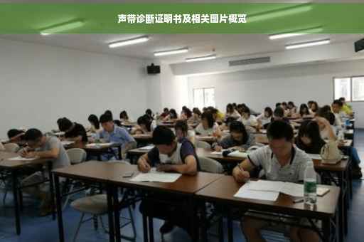 声带诊断证明书及相关图片概览