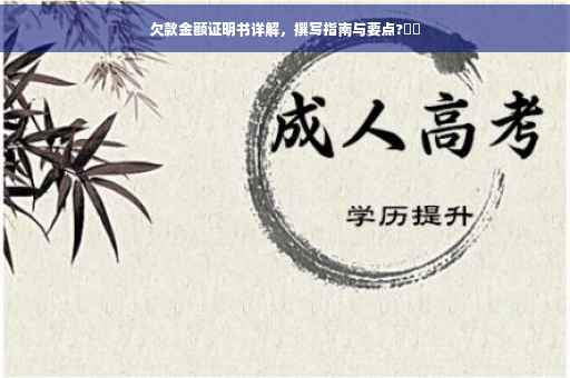 欠款金额证明书详解，撰写指南与要点?⚡️
