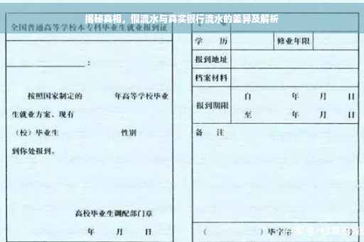 揭秘真相，假流水与真实银行流水的差异及解析
