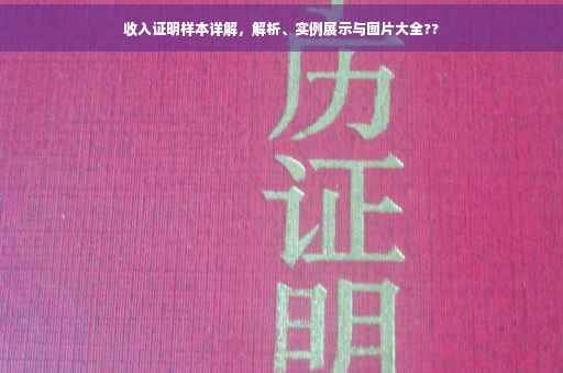 收入证明样本详解，解析、实例展示与图片大全??