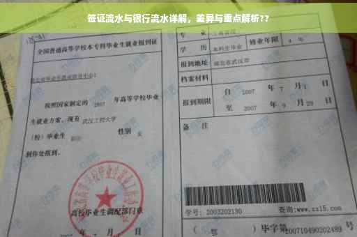 签证流水与银行流水详解，差异与重点解析??