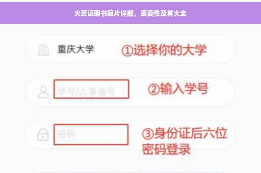 火葬证明书图片详解，重要性及其大全
