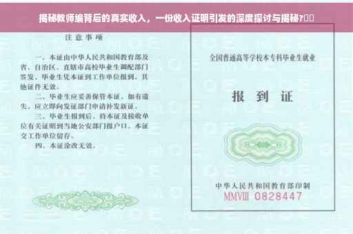 揭秘教师编背后的真实收入，一份收入证明引发的深度探讨与揭秘?⚡️