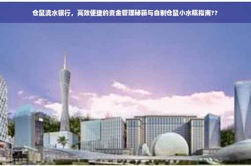 仓鼠流水银行，高效便捷的资金管理秘籍与自制仓鼠小水瓶指南??