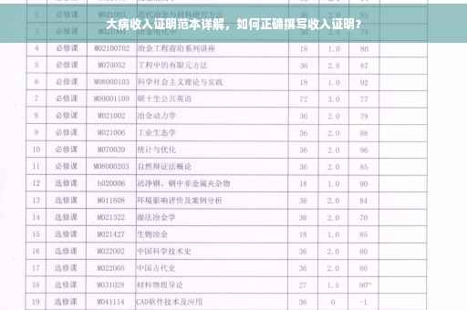 大病收入证明范本详解，如何正确撰写收入证明？