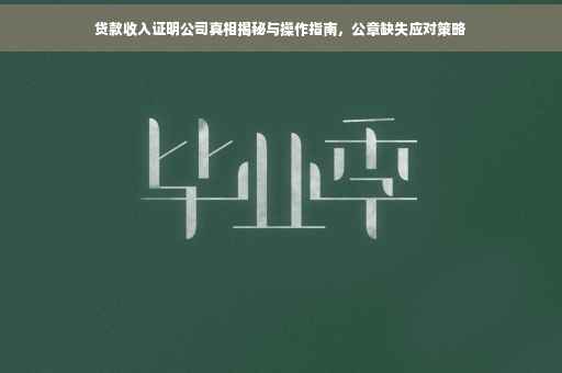 贷款收入证明公司真相揭秘与操作指南，公章缺失应对策略