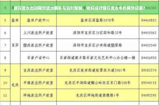 银行流水出现网贷流水解析与应对策略，如何应对银行流水中的网贷记录？