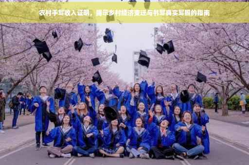 农村手写收入证明，揭示乡村经济变迁与书写真实写照的指南