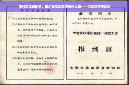 农村家庭证明书，揭示真实面貌与振兴之路——撰写指南与探索