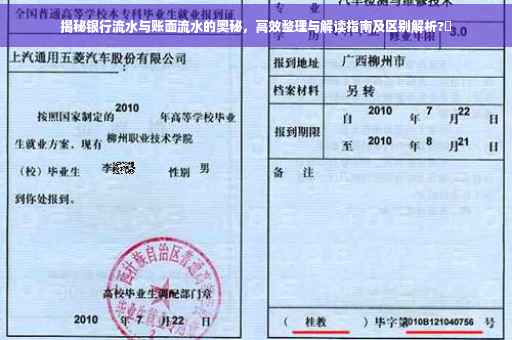 揭秘银行流水与账面流水的奥秘，高效整理与解读指南及区别解析?✨