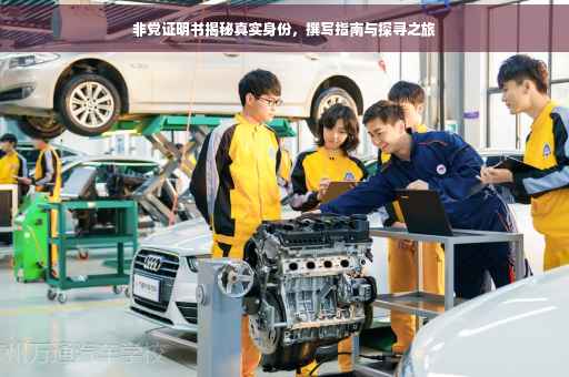 非党证明书揭秘真实身份，撰写指南与探寻之旅