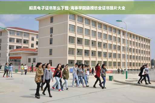 船员电子证书怎么下载-海事学院函授毕业证书图片大全