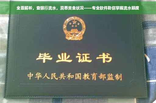 全面解析，查银行流水，洞悉资金状况——专业软件助你掌握流水额度