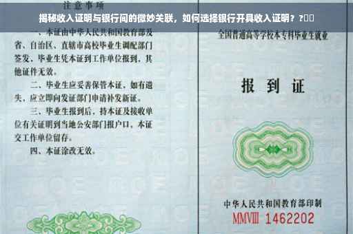 揭秘收入证明与银行间的微妙关联，如何选择银行开具收入证明？?⚡️