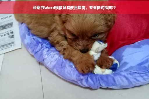 证明书Word模板及其使用指南，专业格式指南??