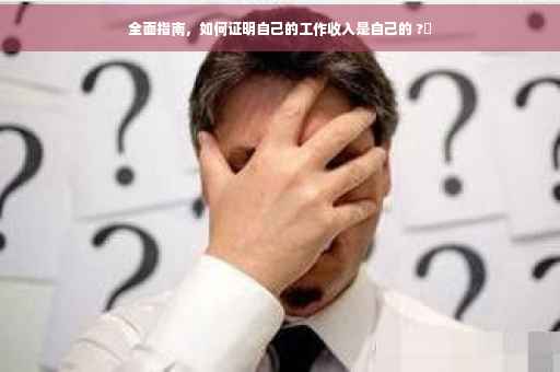 全面指南，如何证明自己的工作收入是自己的 ?✨