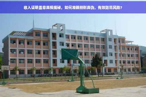 收入证明盖章真相揭秘，如何准确辨别真伪，有效防范风险？