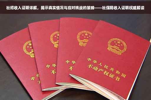 社招收入证明详解，揭示真实情况与应对挑战的策略——社保局收入证明权威解读